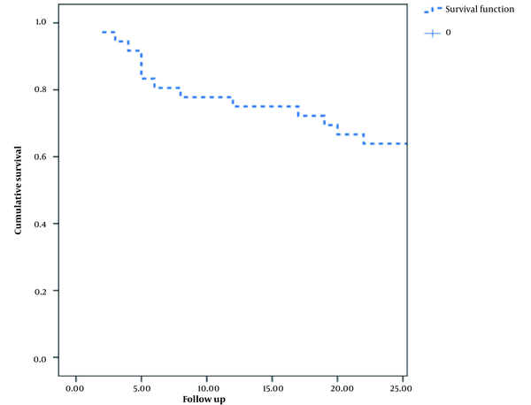 The Kaplan-Meier curve for the two-year survival of patients with esophageal squamous cell carcinoma (SCC).