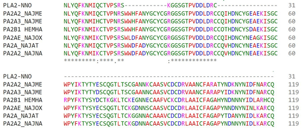 Sequence multiple alignments of Oxilipin. Multiple alignments of the peptide fragments of Oxilipin against complete deduced amino acid sequences of similar proteins from the Cobra genus were performed using the CLUSTALW program. Bold letters indicate identical amino acid residues. PA2A2-NAJME (Ac.No. P00600, Acidic phospholipase A2 DE-II, Naja melanoleuca), PA2A3-NAJME (Ac. No. P00601, Acidic phospholipase A2, Naja melanoleuca), PA2B1-HEMHA (Ac.No. P00595, Hemachatus haemachatus, Basic phospholipase A2), PA2AE-NAJOX (Ac. No. P25498, Acidic phospholipase A2, Naja oxiana), PA2A-NAJAT (Ac. No. A4FS04, Acidic phospholipase A2 natratoxin, Naja atra), PA2A2-NAJNA (Ac. No. P15445, Acidic phospholipase A2, Naja naja).