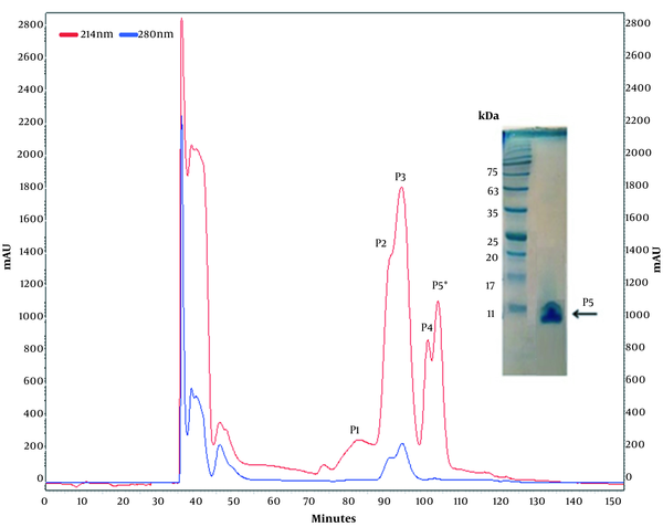 Anion-exchange chromatogram of F4. During 120 min of elution, five peaks were eluted from the column. The candidate fraction with the highest anti-cancer activity was subjected to SDS-PAGE. The P5 peak is shown in the star.