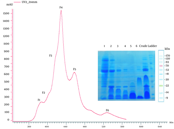 Gel filtration chromatogram of the crude venom from Naja naja oxiana. Six fractions were collected. The fractions are numbered F1-F6. SDS-PAGE of gel filtration-derived fractions is shown, too, as F1 to F6, crude venom, and protein molecular weight marker (from left to right).