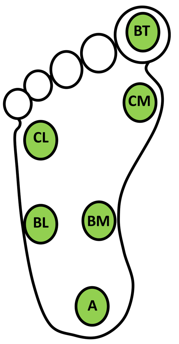 Location of temperature measurement in the foot during thermographic analyses