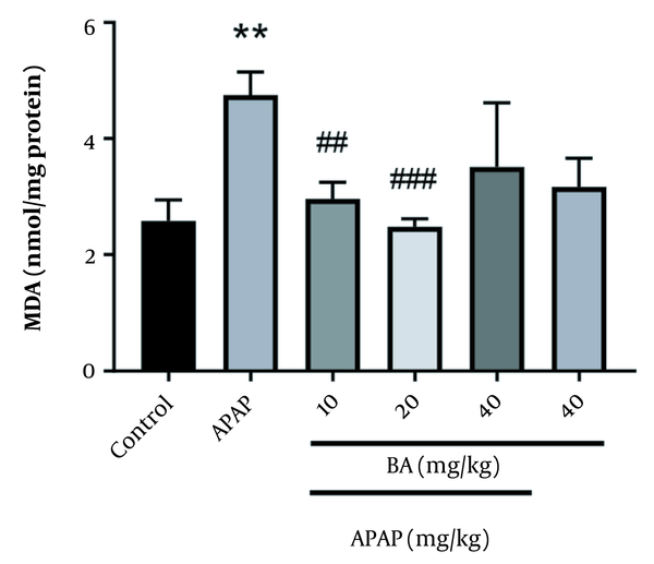 Effects of biochanin A (BA) on the liver malondialdehyde (MDA) levels