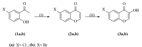 Synthesis of 6-chloro-, and 6-bromo-3-hydroxychromone. Reagents and conditions: (i): (1) N,N-dimethylformamide-dimethylacetal (DMFDMA)/MW; (2) HCl (con.), CH2Cl2, reflux; (ii): (1) H2O2, NaOH, CH2Cl2, ice-bath; (2) HCl (con.), reflux.
