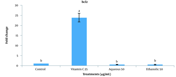 Expression of BCL2 gene in ovine spermatogonial stem cells treated with vitamin c and aqueous, ethanolic, and acetonic extracts of grape seeds