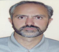 Seyed Homayoun Sadraei