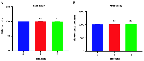 Mitochondrial health assurance assays. Evaluation of succinate dehydrogenase (A) and potential of mitochondrial membrane (B) of isolated mitochondria. SDH activity was measured through 3-(4,5-dimethylthiazol2-yl)-2,5-diphenyltetrazolium bromide (MTT) dye following two-hour incubation. Mitochondrial membrane potential (MMP) was measured by using Rh123 following two-hour incubation. Values were demonstrated as mean ± SD (n = 3). ns. No marked difference vs. zero time in the control group (P < 0.05).