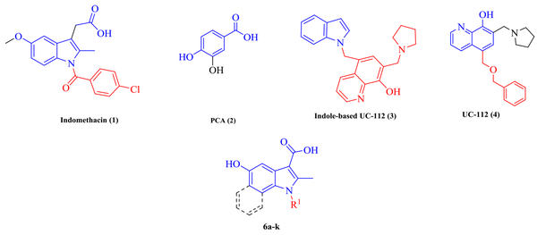 Structure of lead compounds (1-4) and the present study’s designed structures (6a-k)