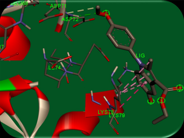Binding modes of ethyl 5-hydroxy-1-(4-methoxyphenyl)-2-methyl-1h-indole-3-carboxylate (5d) in the active site of survivin protein (PDB entry: 3UIH)