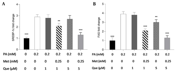 The administration of quercetin (Que)-metformin resulted in a reduction of lipogenic gene expression in HepG2 cells induced with palmitic acid (PA). Real-time PCR was performed to investigate the effects of PA (0.2 mM), metformin (0.25 mM), and Que (1 and μM) on A, sterol regulatory element-binding protein (SREBP)-1c; and B, fatty acid synthase (FAS). After cell treatment with Que and metformin, the expression of both genes was reduced in PA-induced HepG2 cells. With three independent experiments, the data represent means ± SD compared to the PA-induced cells, * P < 0.05, ** P < 0.01, *** P < 0.001. Values are shown as the mean ± SD (n = 3). The one-way ANOVA and Tukey’s post hoc test (P < 0.05) show a significant statistical difference between the data and controls. Que-metformin raised p-AMPK and cAMP levels in PA-induced HepG2 cells.
