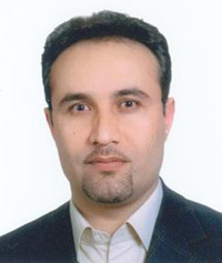 Mansour   Rayegani