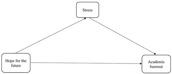 The theoretical model of the study