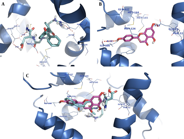 Docking of ketoprofen-arginine-glycine-aspartate (RGD) (A), naringenin (Nar) (B), and superimposition of F ketoprofen-RGD on Nar (C) in the calmodulin (CaM) active site