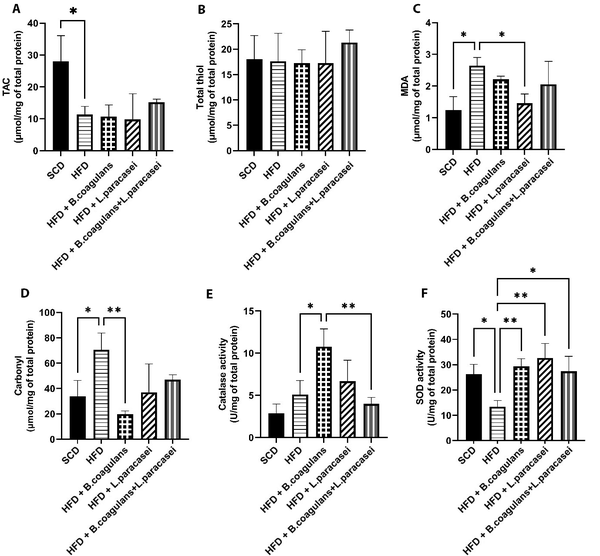The effects of Bacillus coagulans and Lactobacillus paracasei on oxidative stress markers: TAC (A), total thiol (B), MDA (C), carbonyl (D), catalase activity (E), and SOD activity (F). Each bar represents the mean ± SD value from four to six mice per group. *P < 0.05, **P < 0.01, ***P < 0.001, and ****P < 0.0001. SCD: Standard chow diet; HFD: High-fat diet; HFD + B. coagulans T4: HFD + Bacillus coagulans T4; HFD + L. paracasei TD3: HFD + Lactobacillus paracasei TD3; HFD+B. coagulans T4+L. paracasei TD3: HFD + Bacillus coagulans T4+Lactobacillus paracasei TD3; TAC: Total antioxidant capacity; MDA: Malondialdehyde; SOD: Superoxide dismutase.