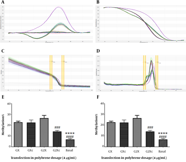 Evaluation of hTERT gene methylation. A, difference melting curve; B, normalized melting curve; C, component melting curve; D, derivative melting curve; E, hTERT gene promoter methylation in transfected U87 cells in the presence of 4 μg/mL polyburn; F, methylation of the hTERT promoter in transfected U87 cells in the presence of 8 μg/mL polybrene. GX: Target + sgRNA + 80 μg/mL transfection, GXc: Control + 80 μg/mL transfection, G2X: Target + sgRNA + 160 μg/mL transfection, G2Xc: Control + 160 μg/mL transfection. **: Significant difference with GX group with P < 0. 01, ****: Significant difference with GX group with P < 0.0001, #: Significant difference with G2X with P < 0.05, ###: Significant difference with G2X with P <0.001, ####: Significant difference with G2X with P < 0.0001 Evaluation of hTERT gene methylation. A, difference melting curve; B, normalized melting curve; C, component melting curve; D, derivative melting curve; E, hTERT gene promoter methylation in transfected U87 cells in the presence of 4 μg/mL polyburn; F, methylation of the hTERT promoter in transfected U87 cells in the presence of 8 μg/mL polybrene. GX: Target + sgRNA + 80 μg/mL transfection, GXc: Control + 80 μg/mL transfection, G2X: Target + sgRNA + 160 μg/mL transfection, G2Xc: Control + 160 μg/mL transfection. **: Significant difference with GX group with P < 0. 01, ****: Significant difference with GX group with P < 0.0001, #: Significant difference with G2X with P < 0.05, ###: Significant difference with G2X with P <0.001, ####: Significant difference with G2X with P < 0.0001