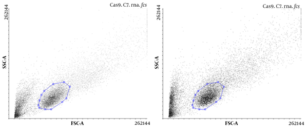The presence of Cas9 in U87 cells transfected without gRNA (A); and with gRNA (B) using flow cytometry, which shows an increase in transfection efficiency in the presence of gRNA.