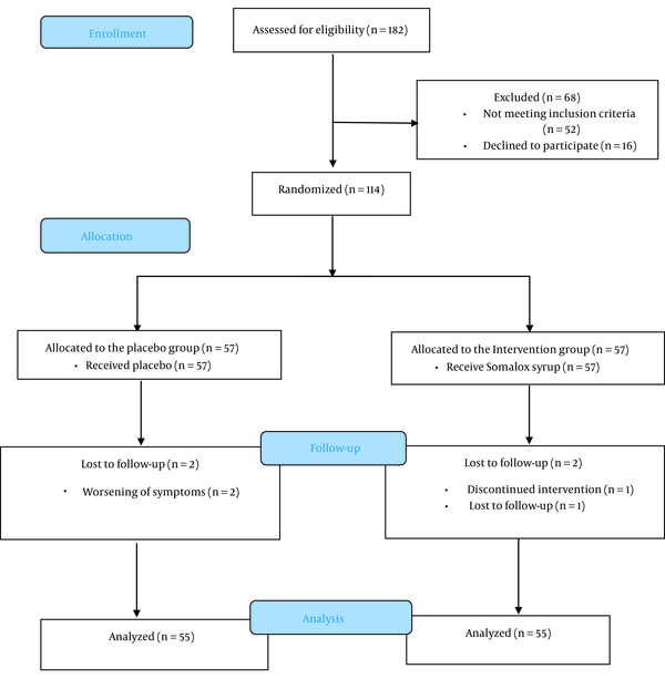Flow diagram of the patients' enrolment, allocation, follow-up, and final analysis