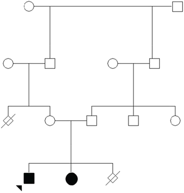 Pedigree of the studied family. Genealogy of the patient referred to the laboratory due to limb-girdle disease