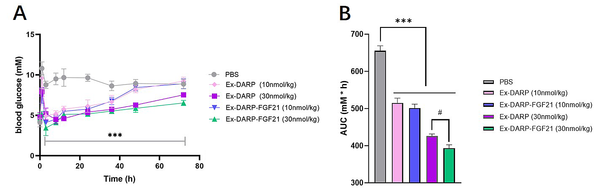The hypoglycemic effects of Ex-DARP and Ex-DARPEx-DARP-FGF21 in normal mice. The non-fasting blood glucose (A); and calculated area under curve (AUC) values (B) were determined following the subcutaneous injection of Ex-DARP-FGF21 and Ex-DARP at 10 nmol/kg and 30 nmol/kg. C57BL/6 mice (n = 4) were fasted overnight.at different time points. Results are presented as the mean ± standard error * P < 0.05, ** P < 0.01, *** P < 0.001 (vs. PBS group). The hypoglycemic effects of Ex-DARP and Ex-DARPEx-DARP-FGF21 in normal mice. The non-fasting blood glucose (A); and calculated area under curve (AUC) values (B) were determined following the subcutaneous injection of Ex-DARP-FGF21 and Ex-DARP at 10 nmol/kg and 30 nmol/kg. C57BL/6 mice (n = 4) were fasted overnight.at different time points. Results are presented as the mean ± standard error * P < 0.05, ** P < 0.01, *** P < 0.001 (vs. PBS group).