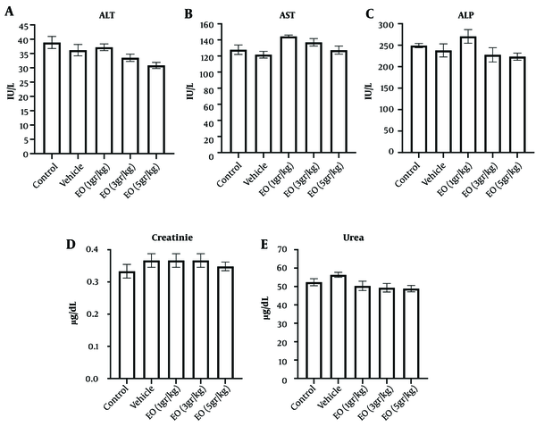 Effect of Echium oil (EO) on the serum levels of the liver (A-C); and kidney parameters (D and E). The sub-chronic oral administration of EO did not change the A, alanine aminotransferase (ALT); B, aspartate transaminase (AST); C, alkaline phosphatase (ALP); D, creatinine; and E, urea levels. Data are represented as mean ± SEM.