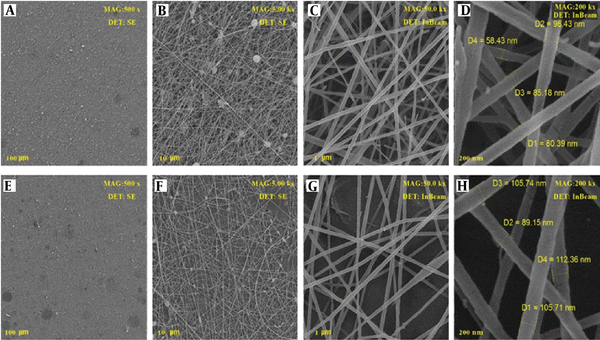 SEM images of PCE (PEO: Chitosan with extract) SEM images of PCE (PEO: Chitosan with extract)