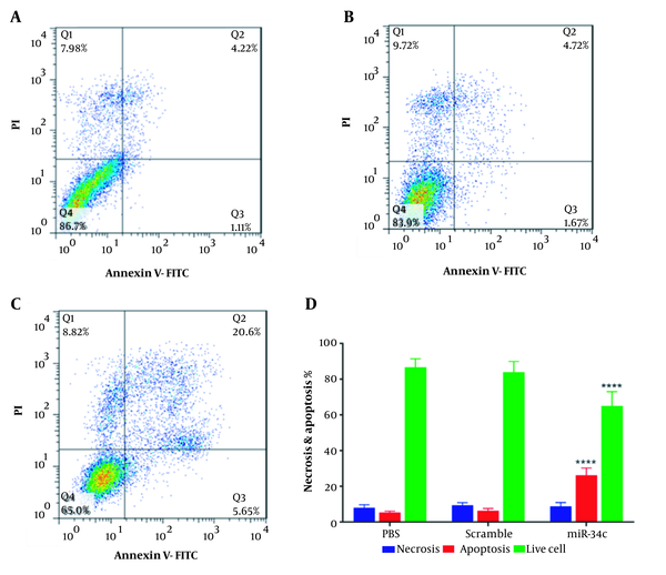 Percentage of cells in various phases of Annexin-V/PI test in SW480 cell line transfected with PBS (A), scramble (B), miR-34c-5p mimics (C), and necrosis and apoptosis rate as well as live cell count in SW480 cells transfected with miR-34c-5p mimics as compared to PBS and scramble groups (D). **** P < 0.0001. Results are shown as representative of three independent experiments. Abbreviations: Q1: An-/pI+ necrosis cells; Q2: marker of delayed apoptotic cells An +/pI +; Q3: marker of primary apoptotic An+/pI-; and Q4: marker of live cells An-/pI-.