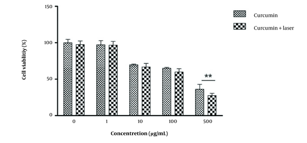 The cell viability was the highest at the concentration of 500 μg/mL