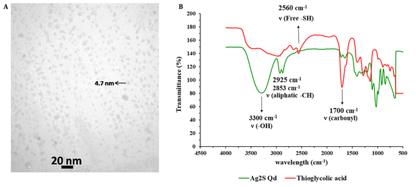 Transmission electron microscopy (TEM) image (A); and Fourier-transform infrared spectroscopy (FT-IR) spectra (B) of synthesized Ag2S quantum dots (Qds)