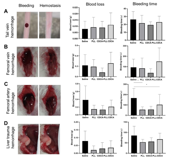 Preparation and in Vitro Property Research of Cholic Acid Nanoparticles