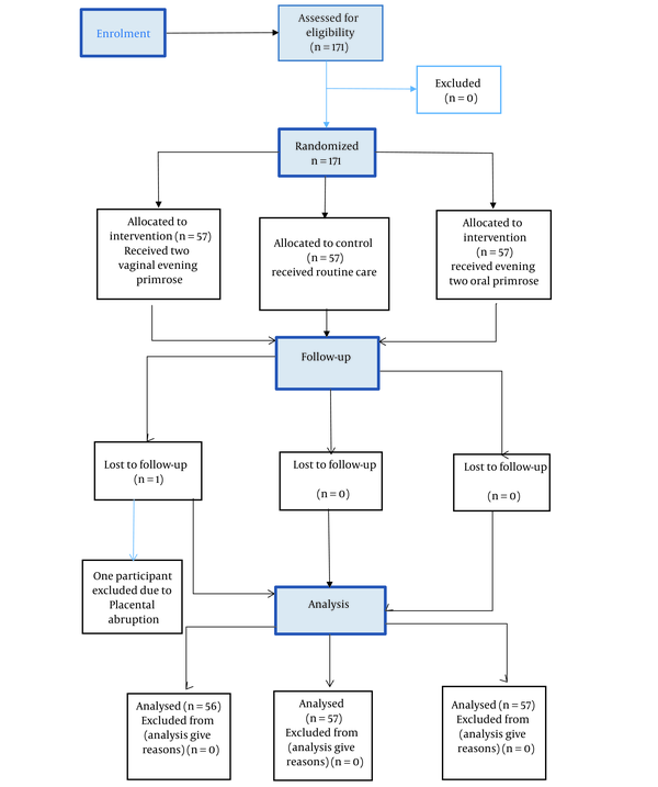 Comparison Of The Effects Of Oral And Vaginal Evening Primrose Capsules