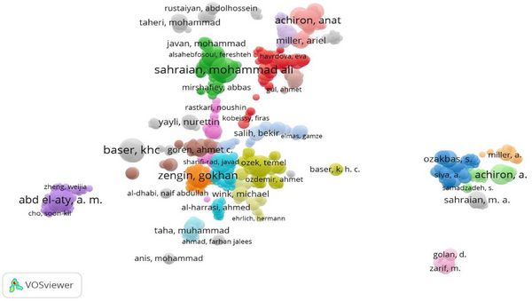 Expert Bibliometrics: An Application Service for Metric Studies of