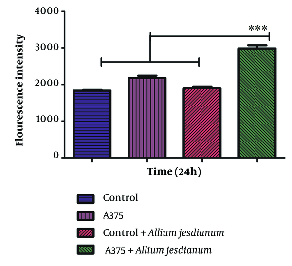 Effect of Allium jesdianum extract on the formation of reactive oxygen species using human melanoma cell lines (A375) and normal fibroblast cell line (Control). Reactive oxygen species were determined spectrofluorometrically by the measurement of highly fluorescent dichlorofluorescein (DCF). Values are indicated as mean ± standard deviation (SD) (n = 3). *** P < 0.001, a significant difference compared to control cells