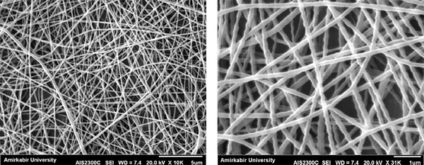 Scanning electron microscope (SEM) photomicrographs of the electrospun nanofibers mat based on PVA with a voltage of 20kv and 7.4wd in different magnifications (left: 5 µm and right: 1 µm).
