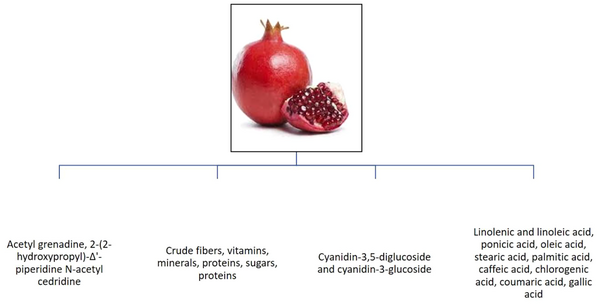 Nutritional and phytochemical compounds in pomegranate.
