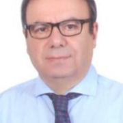 Mahmood Zamirian