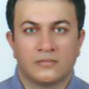 Mehdi Jamshidi