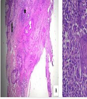 J Skin Stem Cell