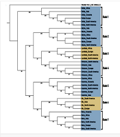 Jundishapur J Microbiol