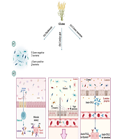 Int J Endocrinol Metab