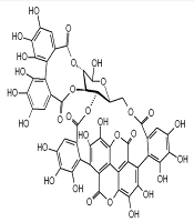 J Rep Pharm Sci