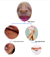 J Skin Stem Cell