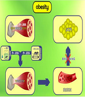 Int J Endocrinol Metab