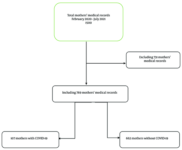 Pregnancy Outcomes in the COVID-19 Era: An Observational Retrospective ...