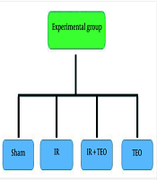 J Rep Pharm Sci