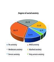 Perceived Stress Among Nurses in Public Hospitals of the Northern Region of Morocco and Its Correlation with Their Social Anxiety: A Cross-Sectional Study