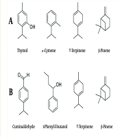 Jundishapur J Nat Pharm Prod