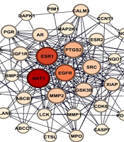 Unraveling the Potential Pharmacological Mechanisms of <i>Capparis spinosa</i> Properties Based on the Network Pharmacology and Molecular Docking