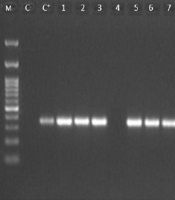 Jundishapur J Microbiol