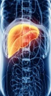 The Prevalence of Occult HBV Infection Among Hemodialysis Patients of Tehran, Iran