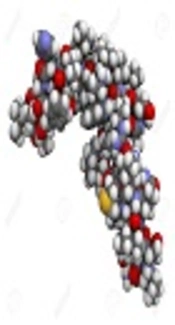 Evaluation of a New Method for Biological Activity Analysis of Recombinant Human Parathyroid Hormone-Related Protein