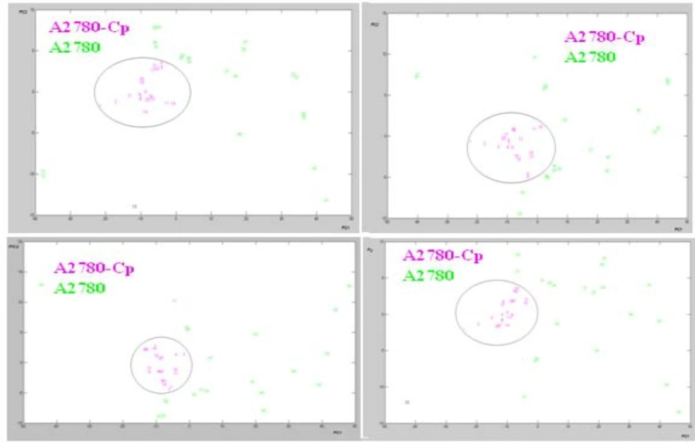Score plot of PCA analysis in the four region of data sets resulted from FTIR spectroscopy of cisplatin sensitive A2780 and resistant A2780CP cell lines